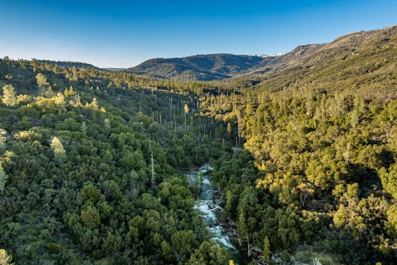 Sierra Vista Lookout Lodge With Creek, Waterfall And Waterholes, Minutes From Bass Lake And Yosemite South Gate North Fork Экстерьер фото